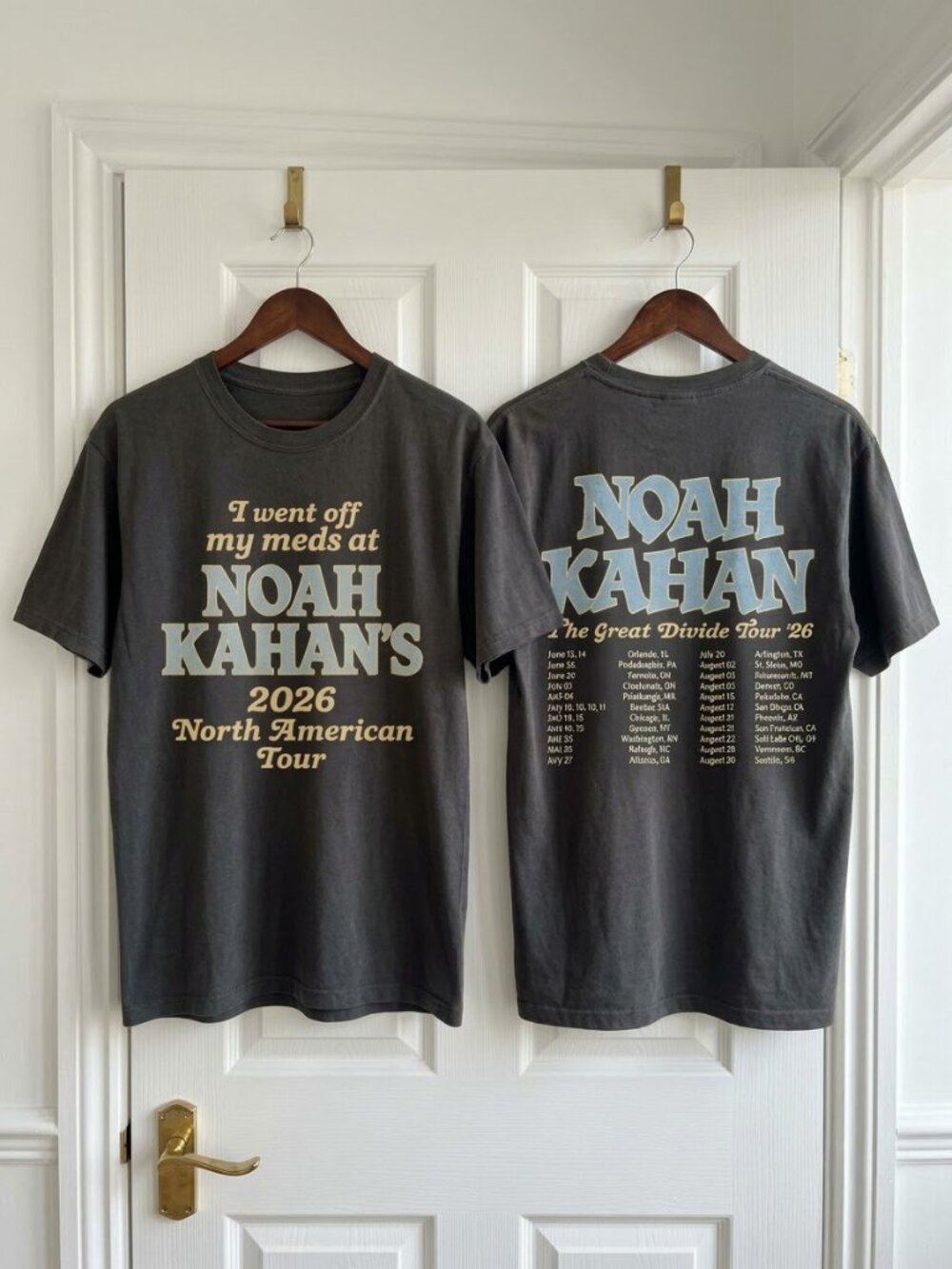 Noah Kahan Merch I Went Off My Meds At The Great Divide Tour 2026 Reprint T-shir